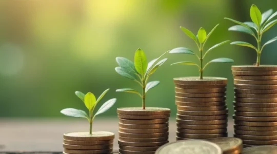 comment-calculer-la-valeur-d-une-cession-temporaire-d-usufruit-en-sci